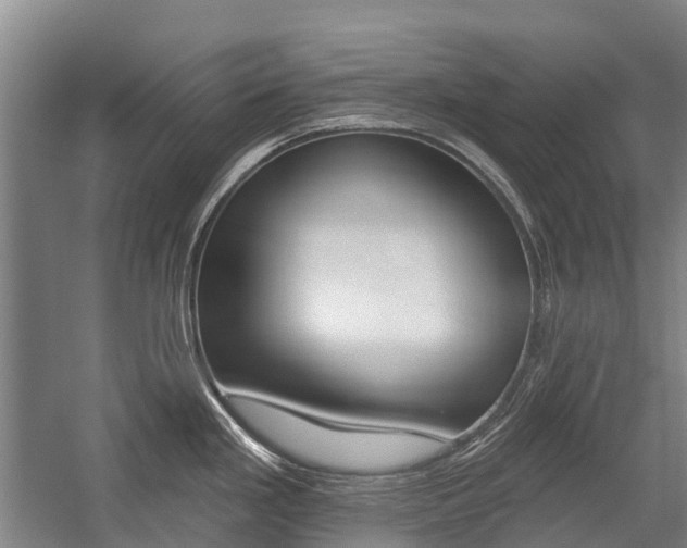X0000059081293200510070920
