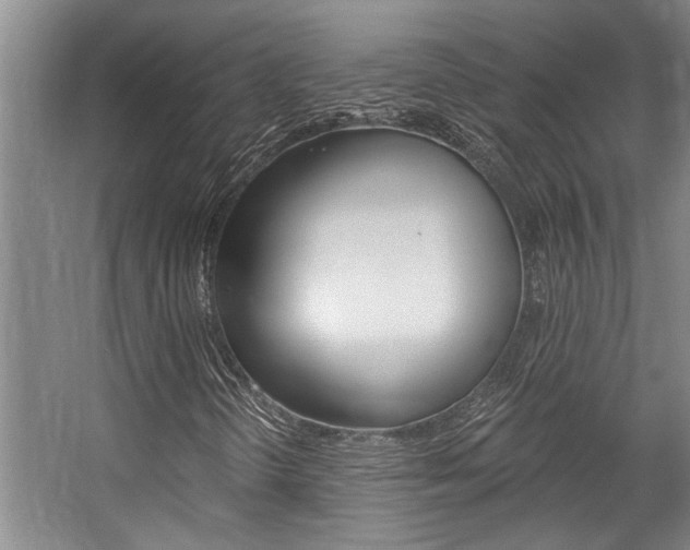 X0000059081298200510070919