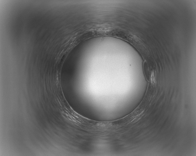 X0000059081299200510070919