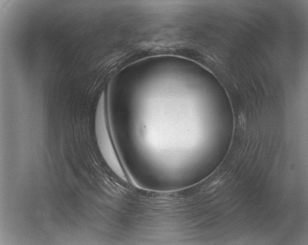 X0000059081300200510070919