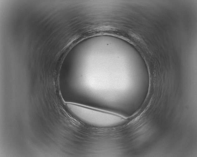 X0000059081305200510070919
