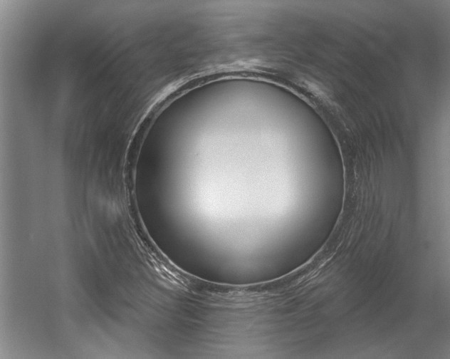 X0000059081308200510070919