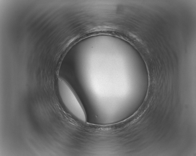 X0000059081313200510070919