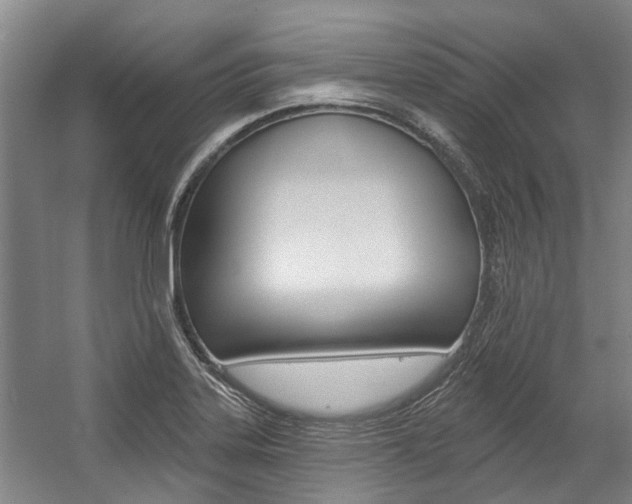 X0000059081323200510070920