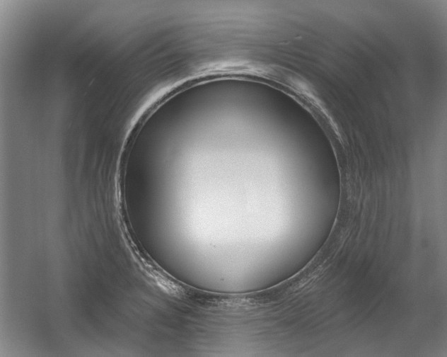 X0000059081328200510070920