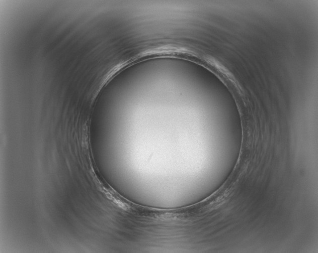X0000059081329200510070920