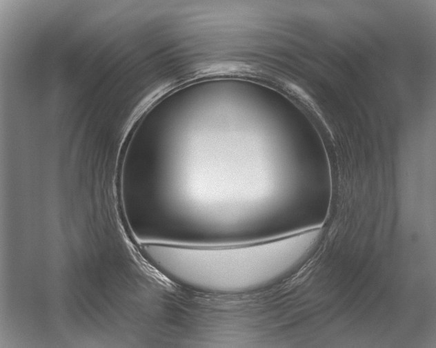 X0000059081330200510070920