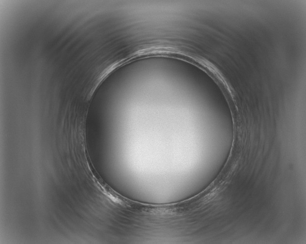 X0000059081337200510070920