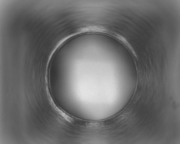 X0000059081339200510070920