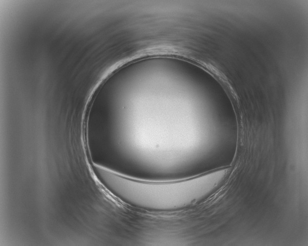 X0000059081342200510070920
