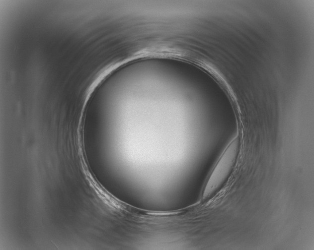 X0000059081344200510070920