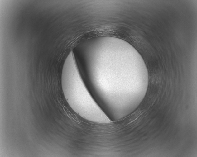 X0000059081346200510070919