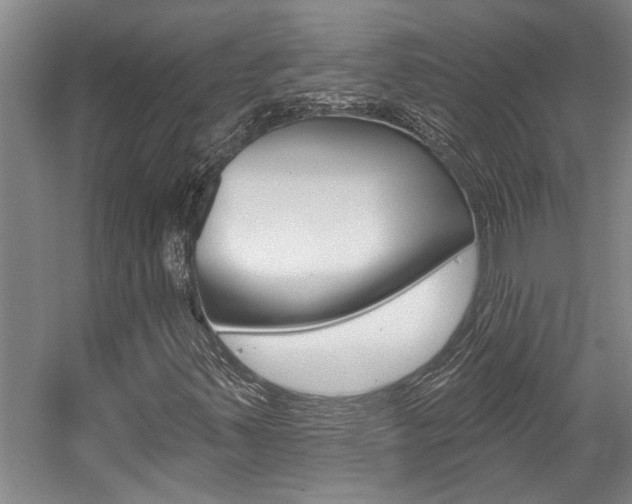 X0000059081347200510070919