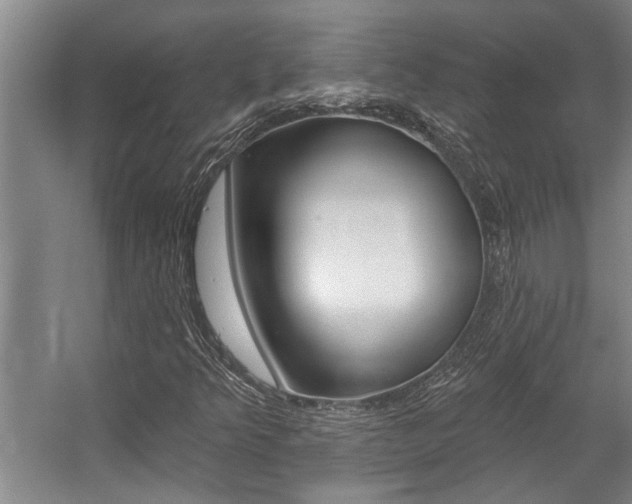 X0000059081349200510070919