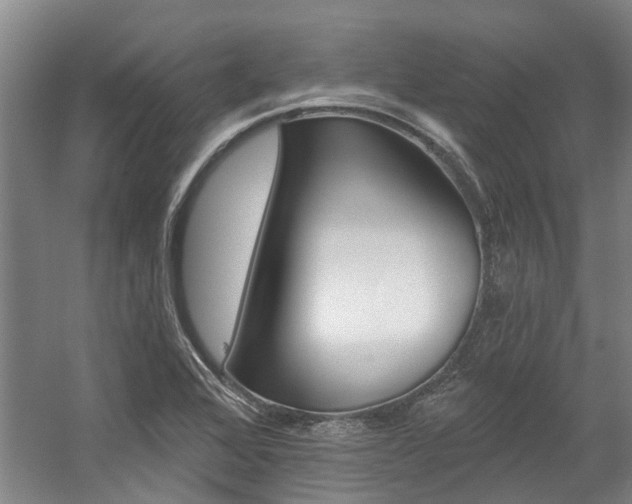 X0000059081368200510070919