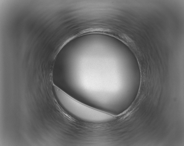 X0000059081369200510070919