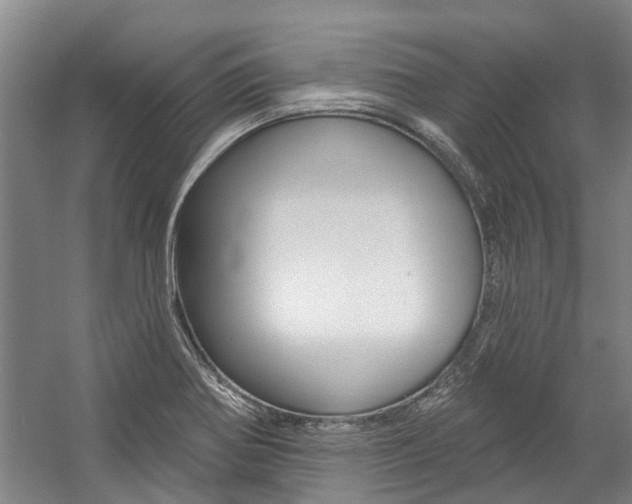X0000059081370200510070919