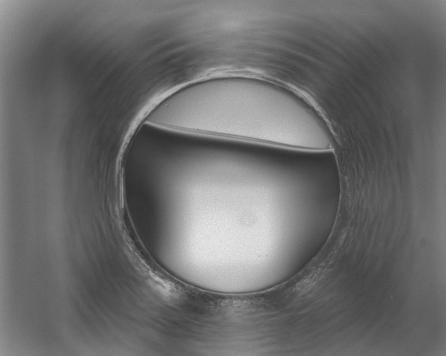 X0000059081371200510070919