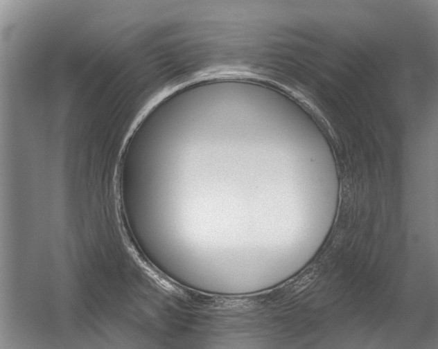X0000059081382200510070919