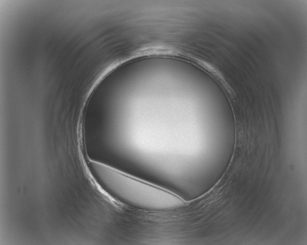 X0000059081383200510070918