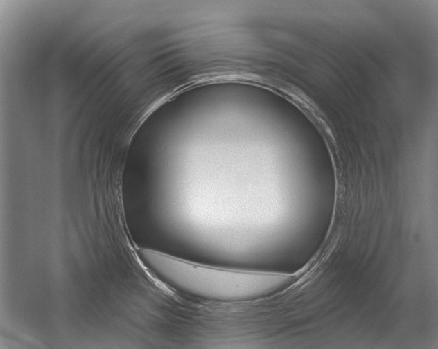 X0000059081385200510070918