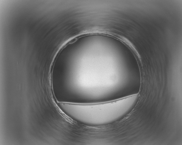 X0000059081388200510070918