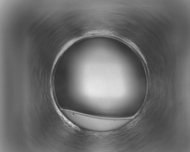 X0000059081389200510070918