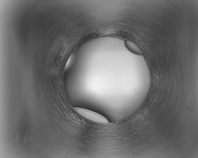 X0000059081393200510070918