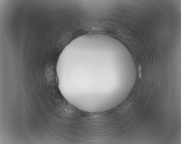 X0000059081395200510070918
