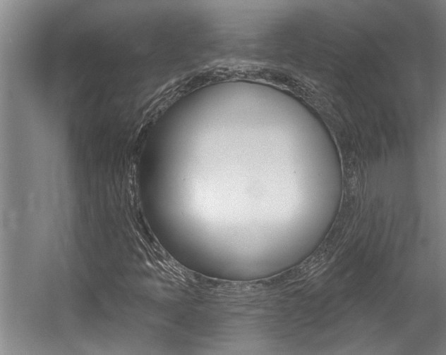 X0000059081397200510070918