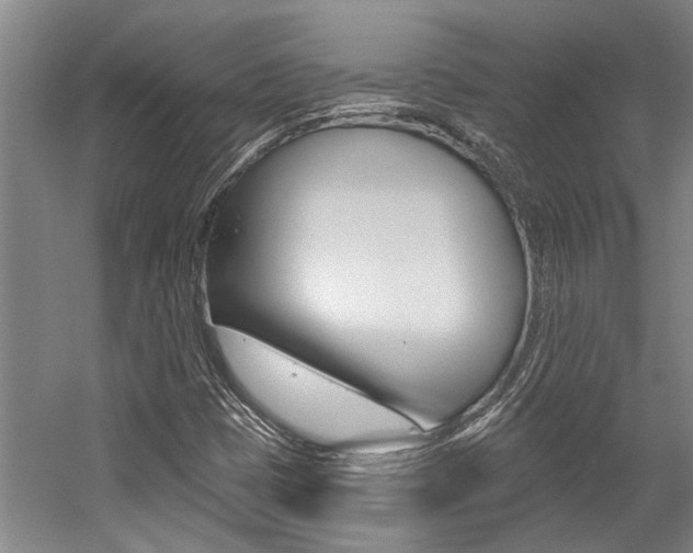X0000059081401200510070918