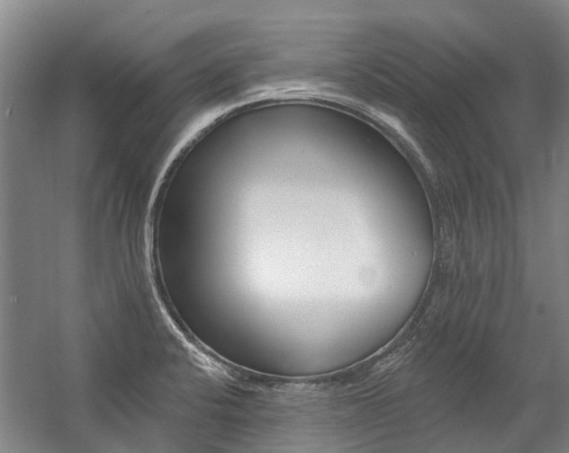 X0000059081424200510070918