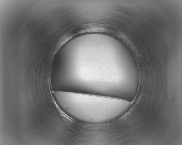 X0000059081425200510070918