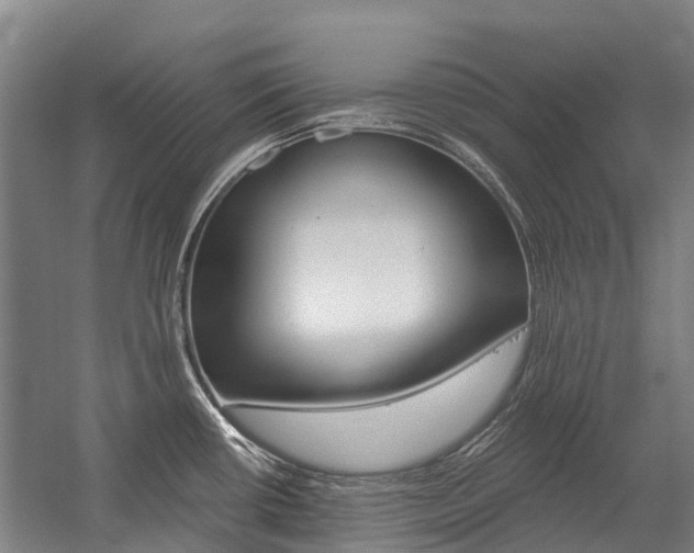 X0000059081434200510070918