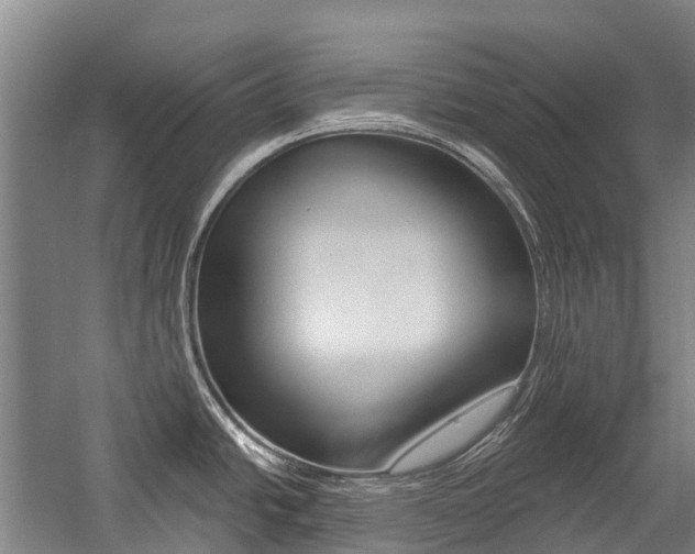 X0000059081438200510070918