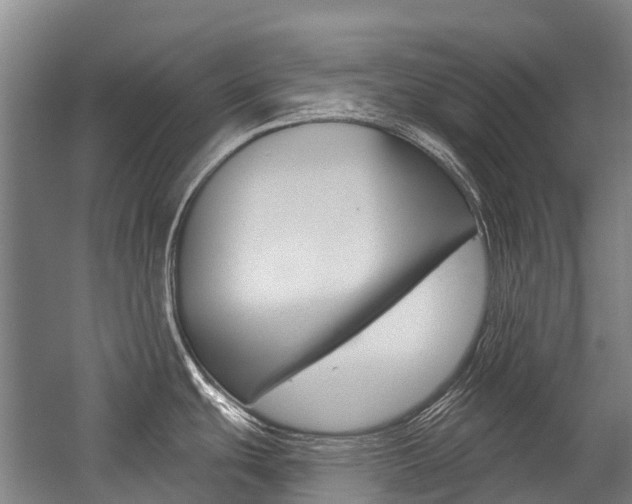 X0000059081439200510070918