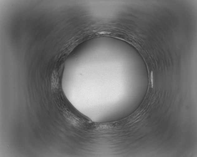 X0000059081443200510070917