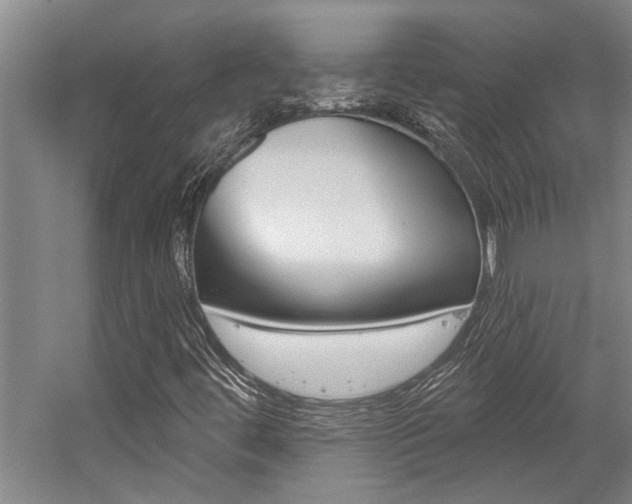 X0000059081444200510070917
