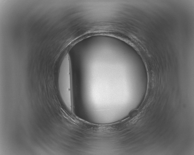 X0000059081449200510070917