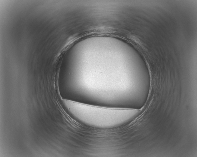 X0000059081451200510070917