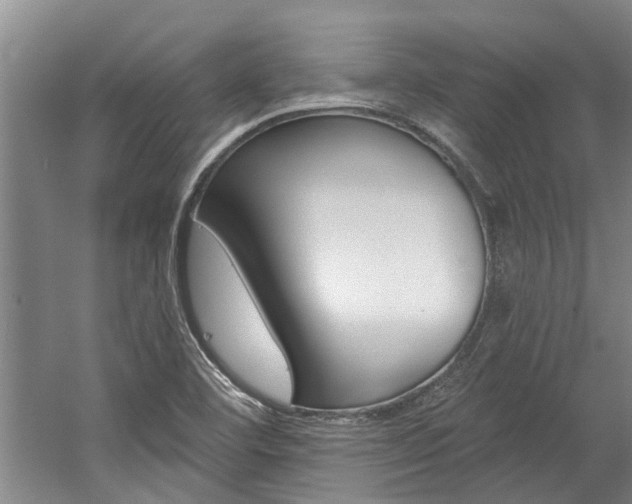 X0000059081460200510070917