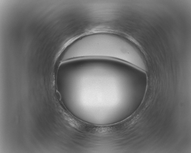 X0000059081461200510070917