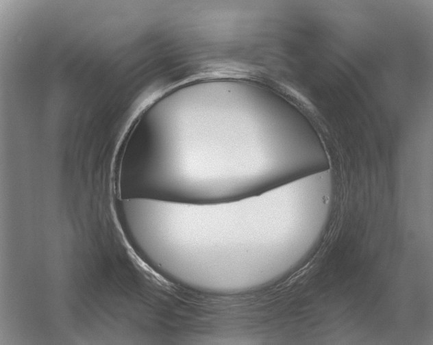 X0000059081471200510070917