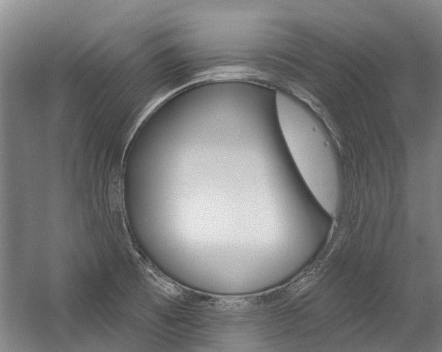 X0000059081473200510070917