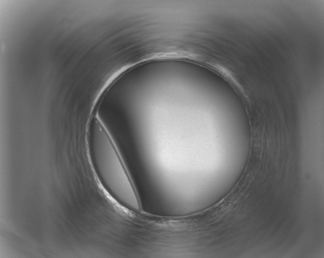 X0000059081476200510070917