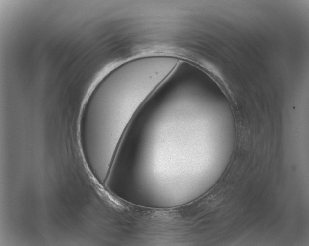 X0000059081480200510070917