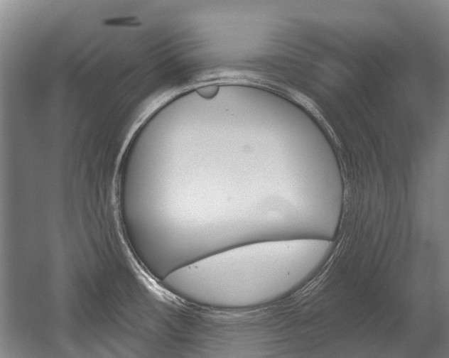 X0000059081482200510070917