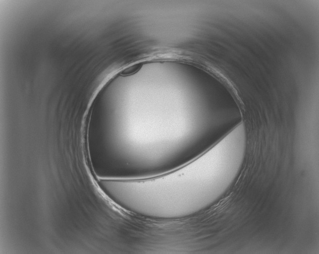 X0000059081483200510070917