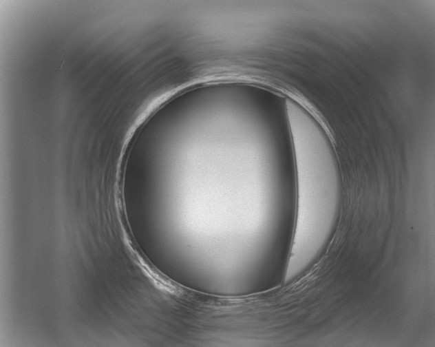 X0000059081485200510070917