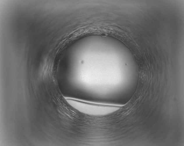X0000059081490200510070916